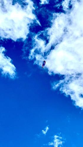 IMG-20230915-WA0010 (1)