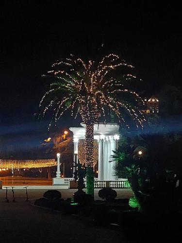 Recovered 20221226 071149