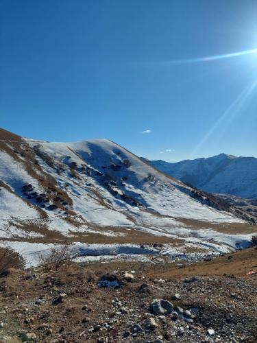 Recovered 20221229 141309